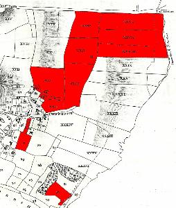 Yellow Farm in 1804